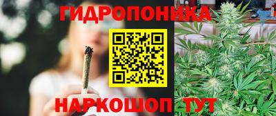 сатива Краснознаменск