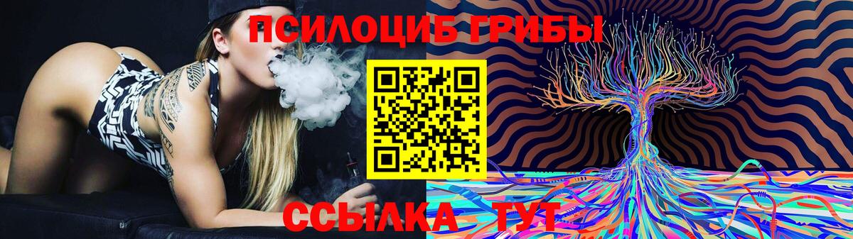 Элиста  Галлюциногенные грибы Cubensis  Вход с VPN 